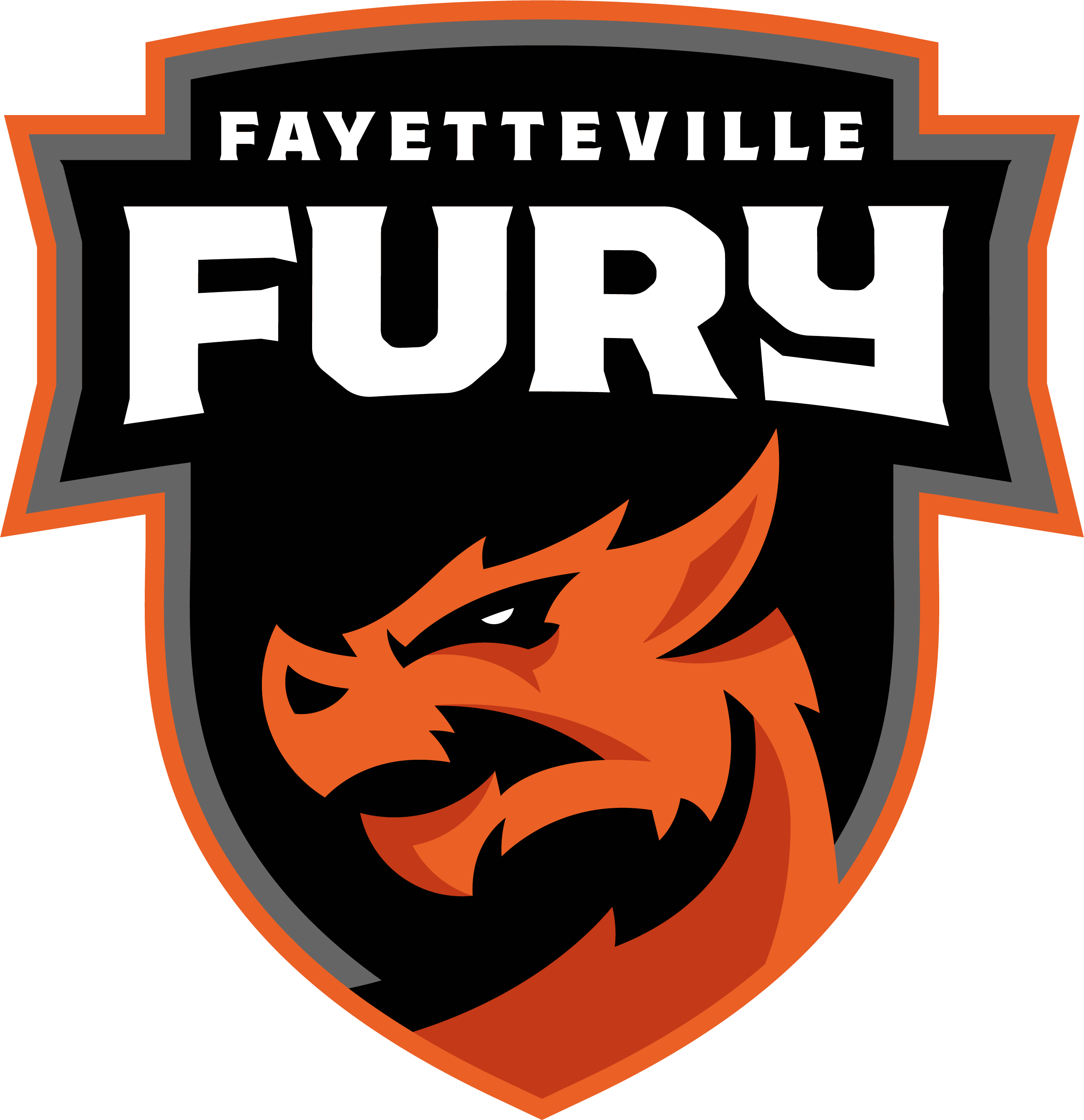 Fayetteville Fury full logo.png